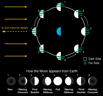 phases of the moon