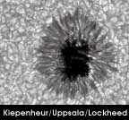 image of sunspot